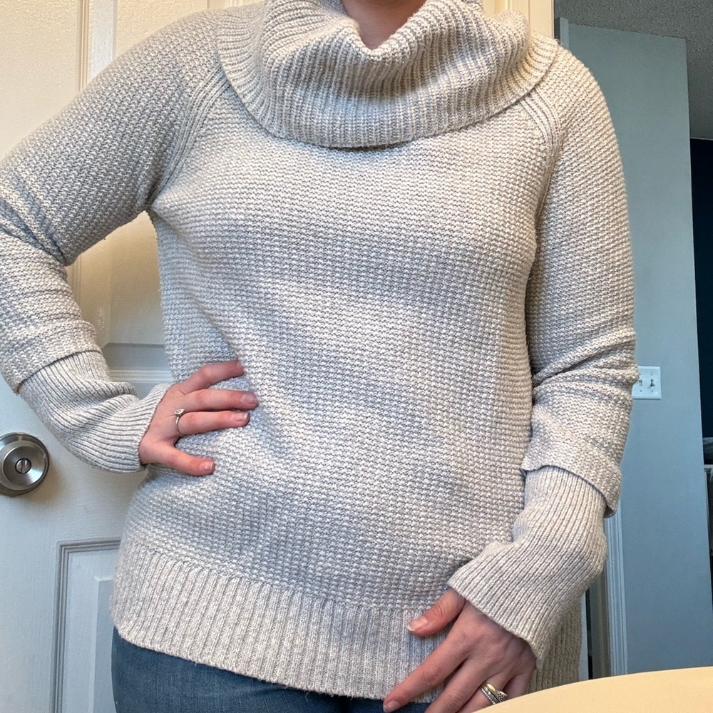 Market & Spruce Sweater
